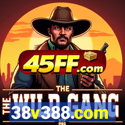 38v388.com