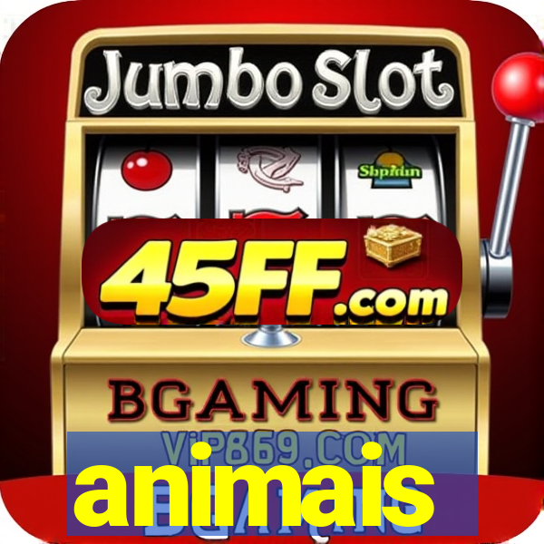 animais-pg.com