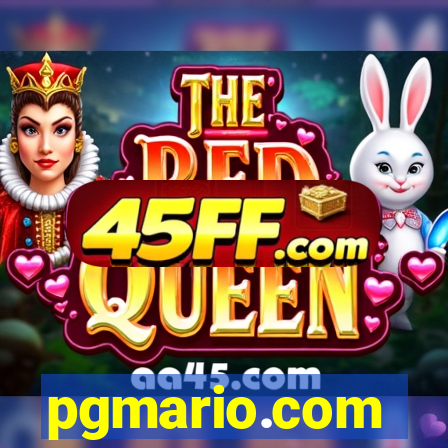 pgmario.com