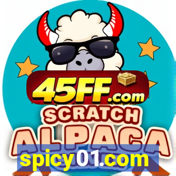 spicy01.com