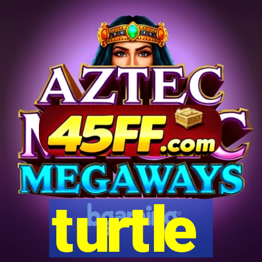 turtle-ty.com